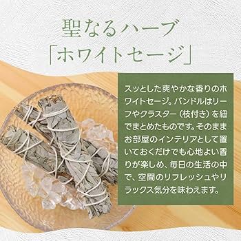 Amazon.co.jp: オーガランド ホワイトセージ 3本 バンドル